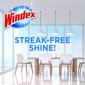 Windex Foaming Glass Cleaner (Aerosol)